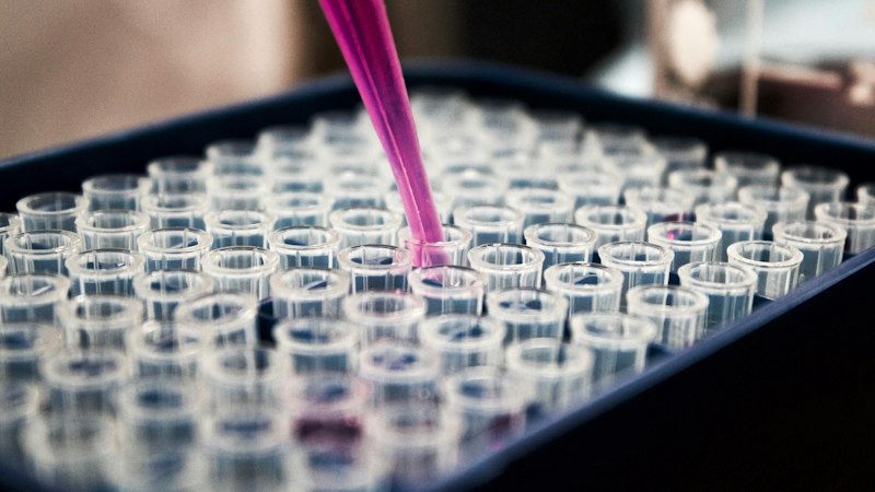 New Research Initiative Launched microscope laboratory
